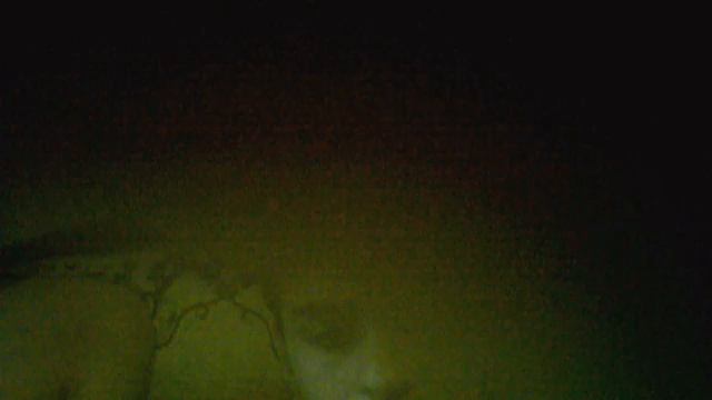 Видео с веб-камеры. Дата: 22 августа 2012 г., 13:52. смотреть онлайн