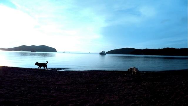 #13 остров Русский_Владивосток_Бухта Рында..