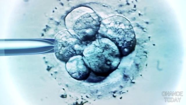 5 невероятных открытий, сделанных недавно смотреть онлайн