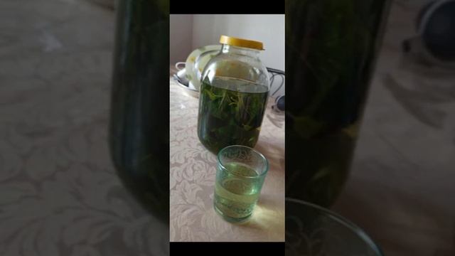 листья тутовника смотреть онлайн