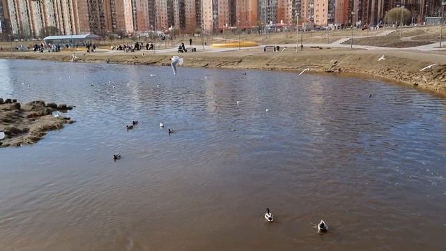 Пример видео UHD 4K 60 FPS с камеры Samsung Galaxy S21 Ultra смотреть онлайн