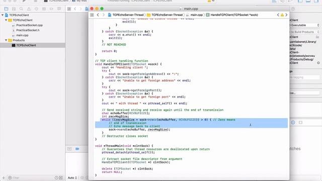 Working demo of basic Cpp and Python socket programming смотреть онлайн