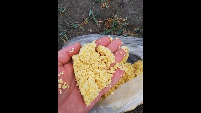 РАБОЧАЯ ПРИКОРМКА СВОИМИ РУКАМИ,РЫБАЛКА ОСЕНЬЮ,ПРИКОРМКА ДЛЯ ХОЛОДНОЙ ВОДЫ,лещ осенью,КАРАСЬ ОСЕНЬЮ смотреть онлайн