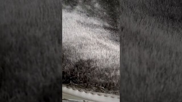 Накидки на сиденья. Premium. Овечья шерсть-искусственный мех (30/70). Avtorombik смотреть онлайн