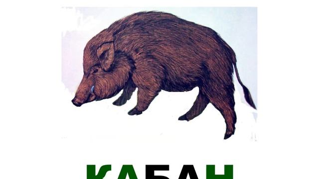 животные лесов России смотреть онлайн