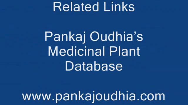 Ingredient/s of Syzygium jambos Formulations: Pankaj Oudhia's Ethnobotanical Surveys 1990-2012 смотреть онлайн