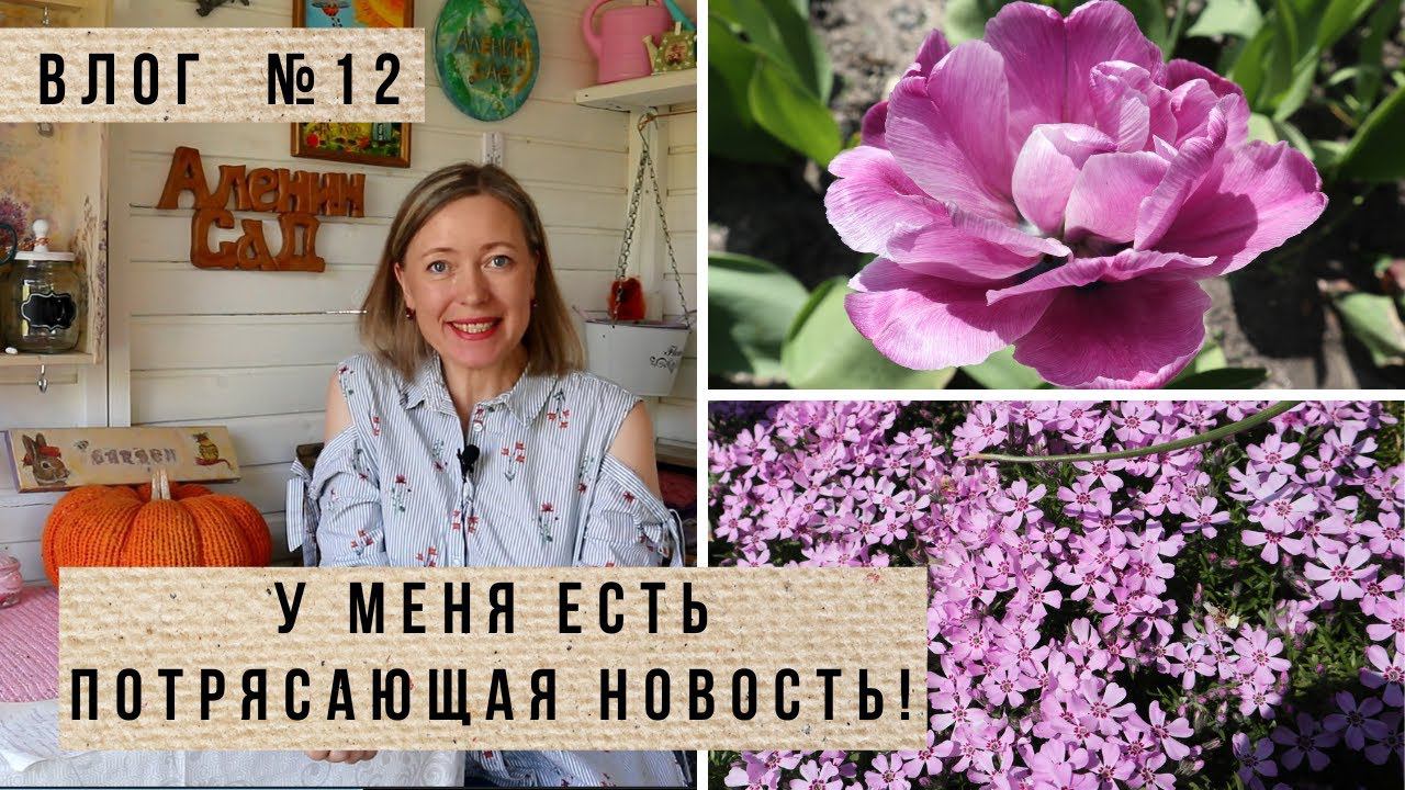 У меня есть новости! Влог 12 / Посадка порея, баклажанов, салата и фасоли / Много тюльпанов! смотреть онлайн