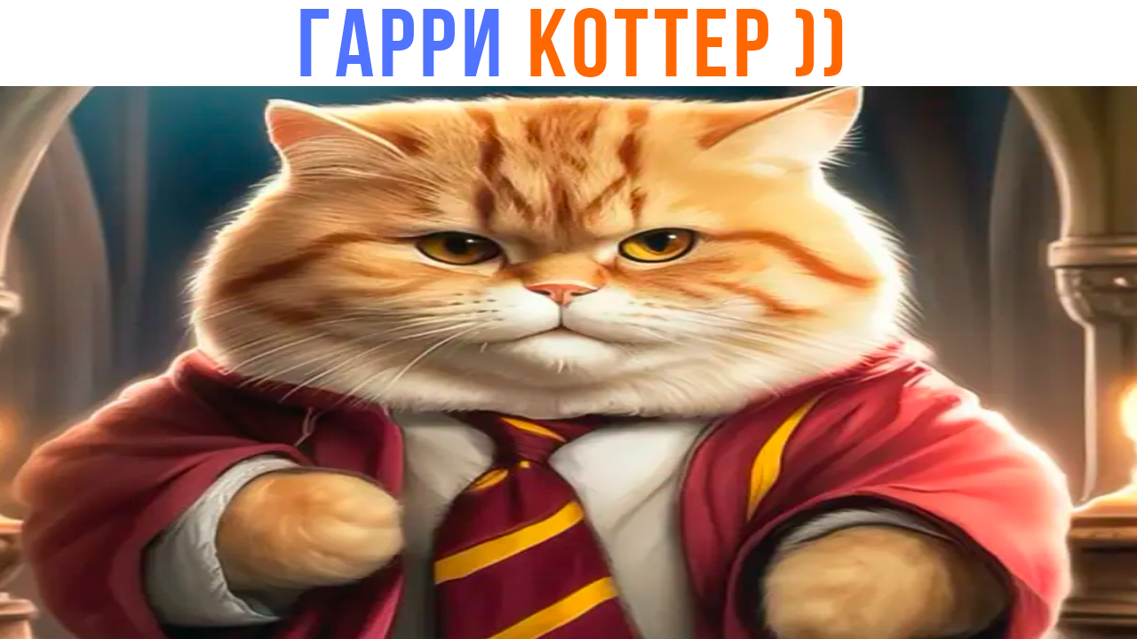 ГАРРИ КОТТЕР ))) Приколы про Гарри Поттера| Мемозг 1390 смотреть онлайн