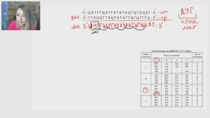 Открытая рамка считывания в ЕГЭ по биологии
