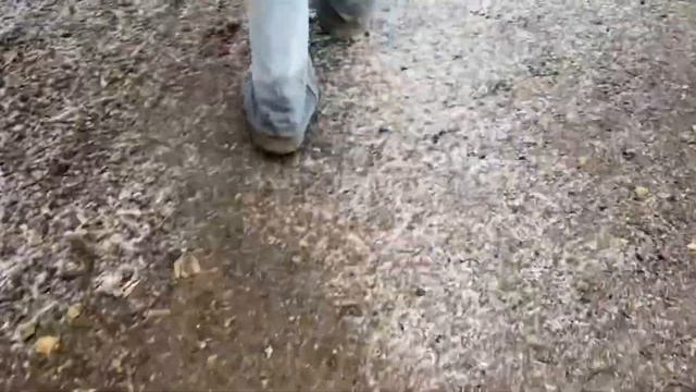 Уехала на 1000 км от дома, чтобы что-то найти и поесть￼😉 смотреть онлайн
