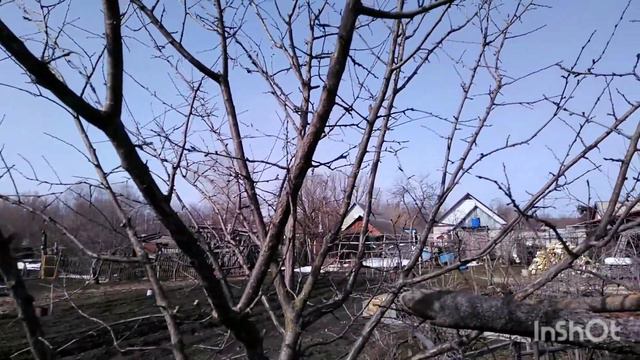 Татьянин день. Ветреный день в саду. смотреть онлайн