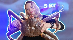 Гигантский камчатский краб | готовим дома хот-дог из краба!