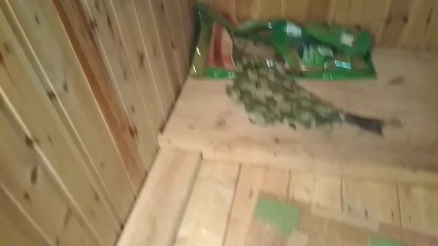 Мини парилка с макси отдачей смотреть онлайн