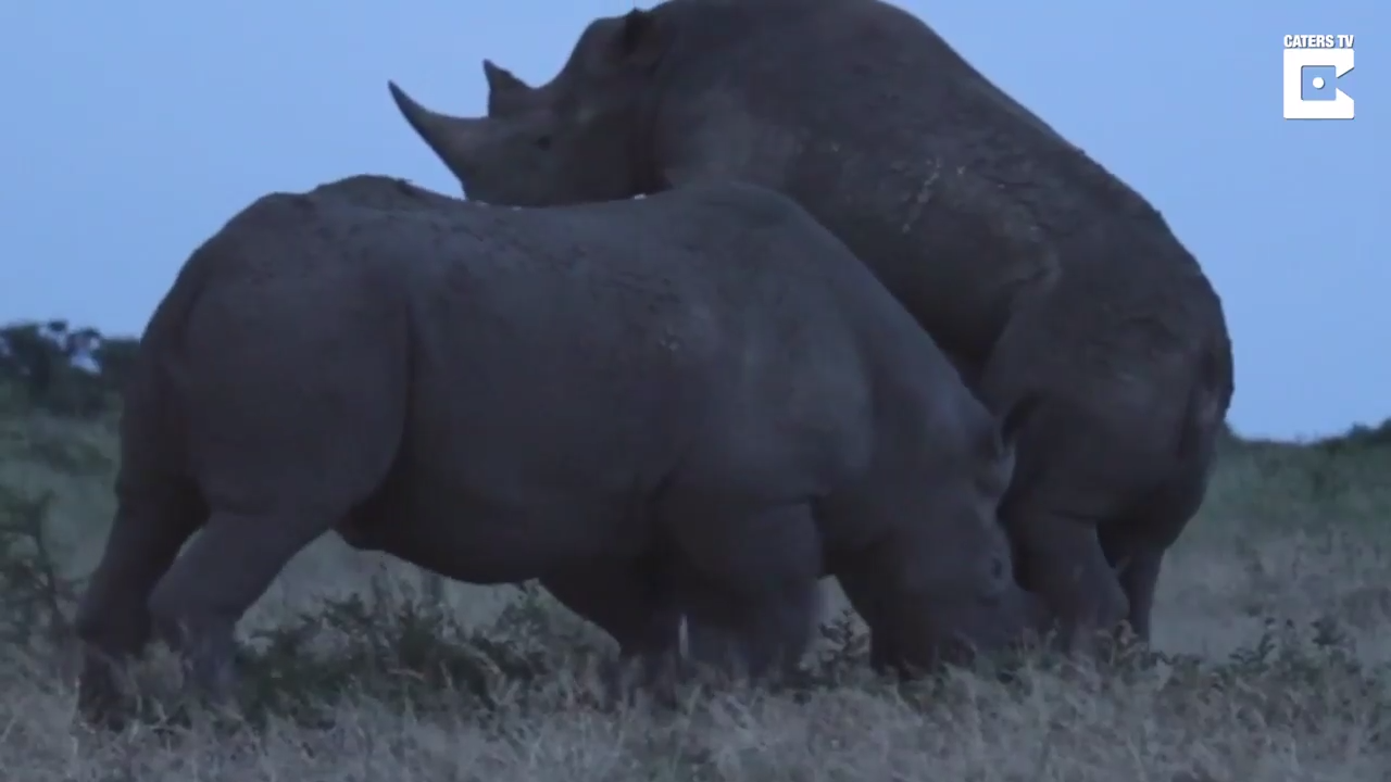 Прогнал любовника смотреть онлайн