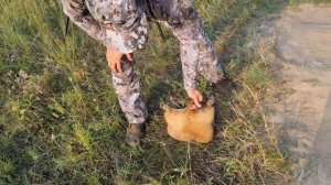 Охота на сурка-байбака