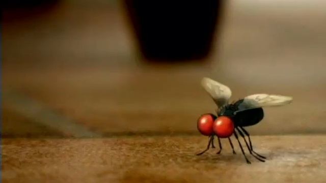 Насекомые Паук и мухи Побег смотреть онлайн