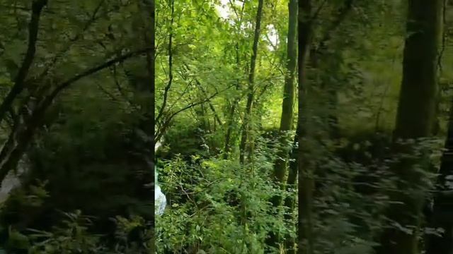 bagni di Lucca. canyon park 2 смотреть онлайн