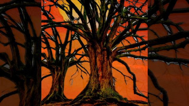 L'albero delle farfalle смотреть онлайн