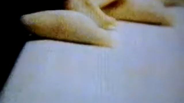 samosa factory 5 смотреть онлайн