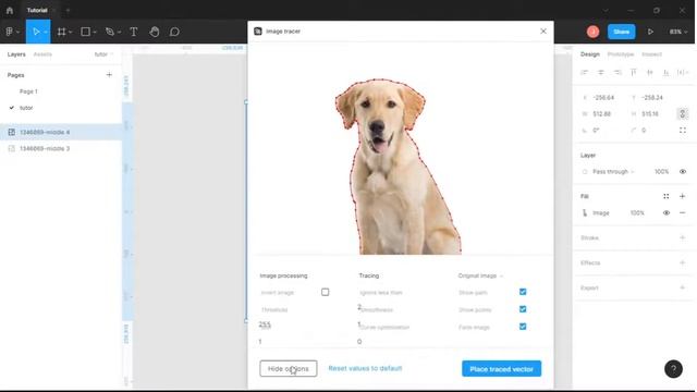 How to add outline (strock) on image in Figma смотреть онлайн