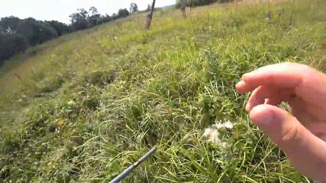 НА МАЛЕНЬКУЮ РЕЧКУ ЗА ОГРОМНЫМИ ГОЛАВЛЯМИ И ЯЗЯМИ! смотреть онлайн