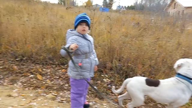 АМБУЛИ У ЮЛИ ГУЛЯЮТ. 1 ОКТЯБРЯ ОТМЕЧАЮТ. смотреть онлайн