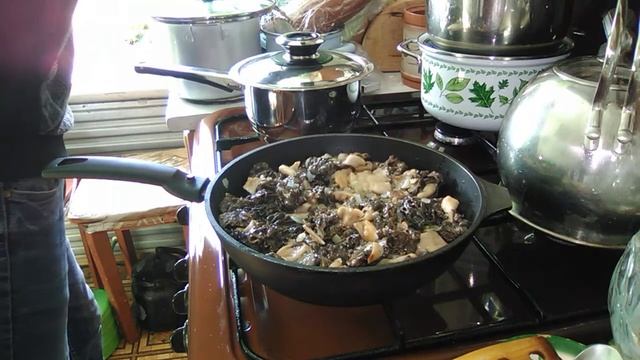 Тушим сморчки в сметане... смотреть онлайн