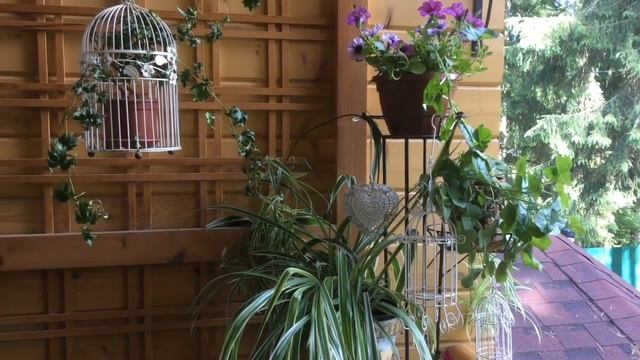 Летний декор дачного балкона смотреть онлайн