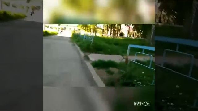 Неудачная попытка дропа! Проколол колесо на bmx!?? смотреть онлайн