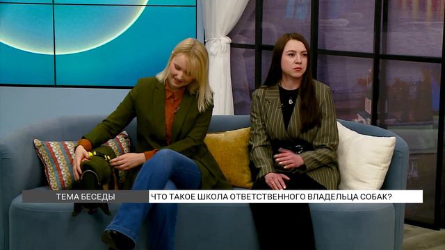 Что такое Школа ответственного владельца собак? смотреть онлайн