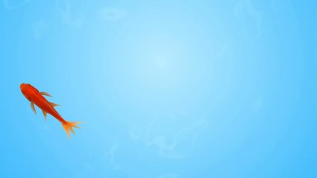 CAT GAMES - ? CATCHING FISH 1 HOUR VERSION (VIDEOS FOR CATS TO WATCH)