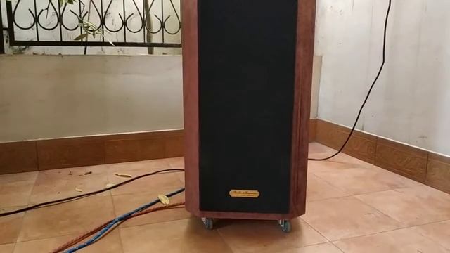 Уникальная рупорная АС. смотреть онлайн