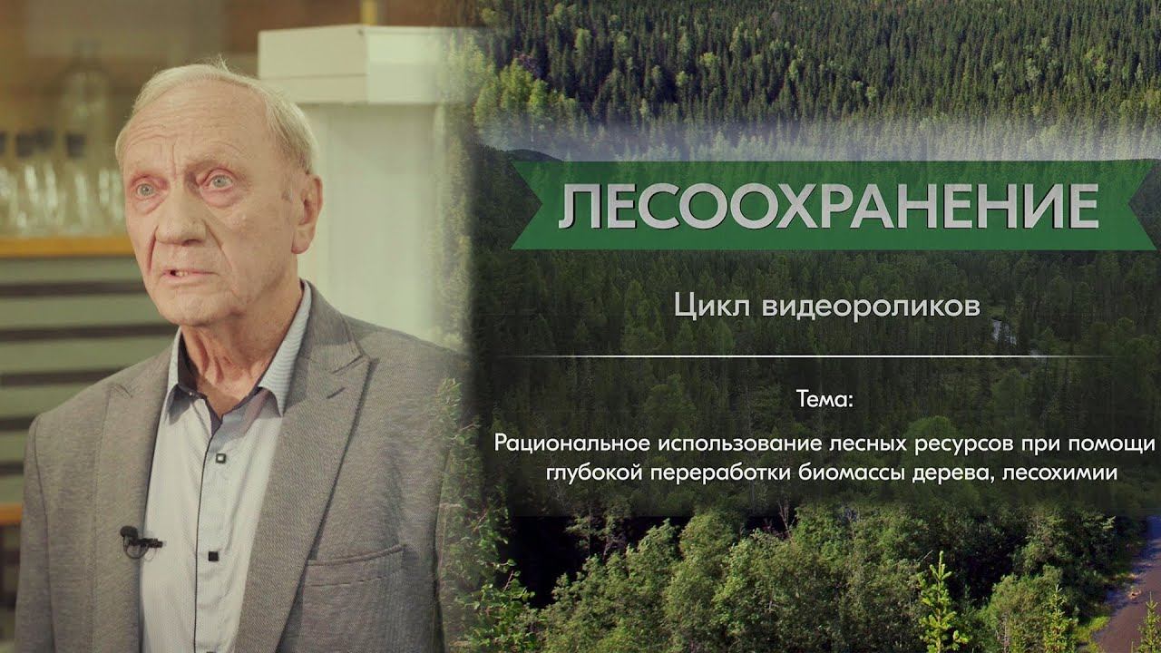 Рощин В.И.: рациональное использование лесных ресурсов - глубокая переработка биомассы дерева смотреть онлайн