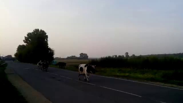 Яя Кемеровской области: видеогайд 3 смотреть онлайн