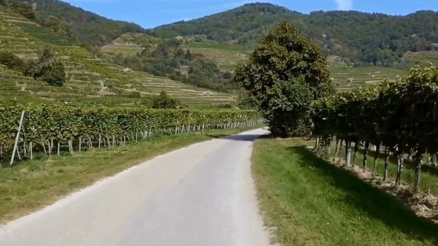 Best Places to Visit in Austria - Travel Video смотреть онлайн