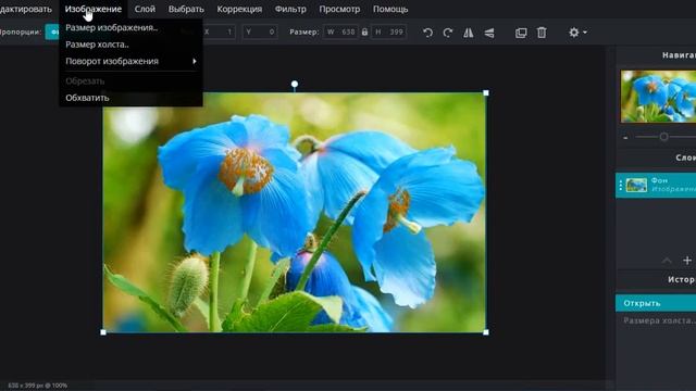 PIXLR E.Вкладка:ИЗОБРАЖЕНИЕ. смотреть онлайн