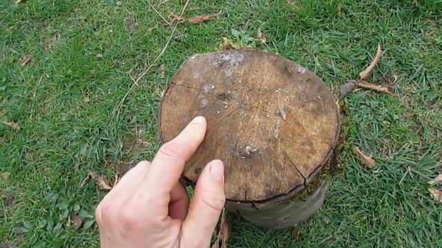Южный сад Компост Белые Каллы Розы и садовые дела смотреть онлайн