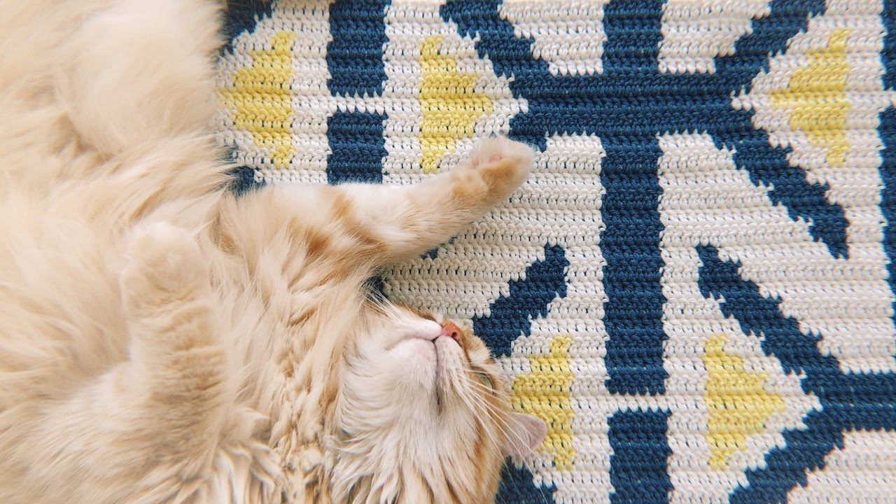 Мастер-класс ✨ Вязанный крючком геометрический коврик жаккардом без протяжек смотреть онлайн