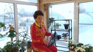 Полочки для рассады на подоконник. Парник или стеллаж разборный.