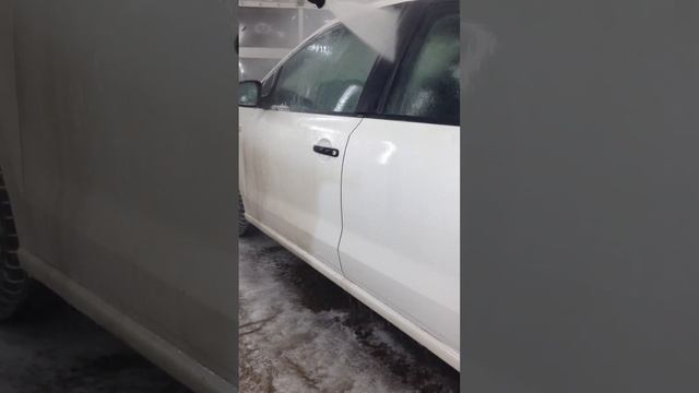 Умный шампунь Delphi Premium моет смотреть онлайн