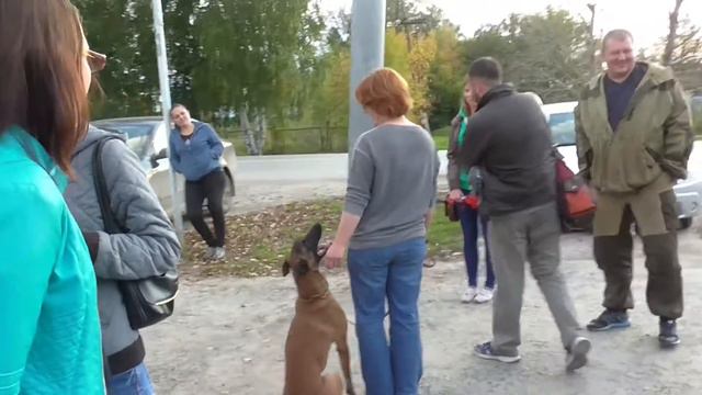 Вяткинс Линч, 2 года. Сдача ВН, городская часть. смотреть онлайн