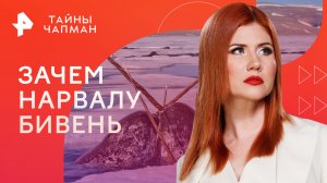 Зачем нарвалу бивень — Тайны Чапман (05.09.2023)