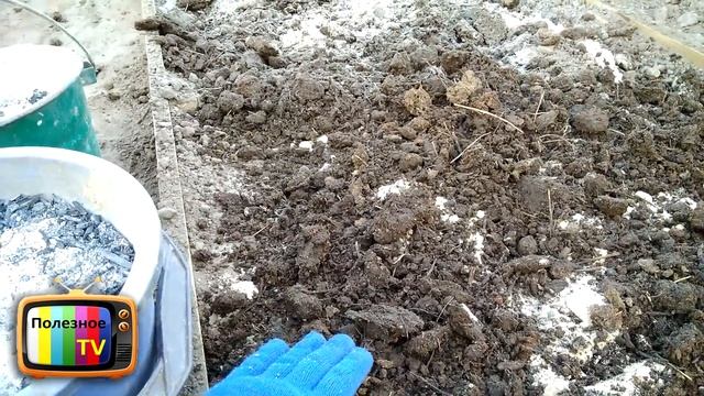 ВНЕСИТЕ ЭТО УДОБРЕНИЕ В ГРЯДКИ И ПОЛУЧИТЕ 2 РАЗА БОЛЬШЕ УРОЖАЙ смотреть онлайн