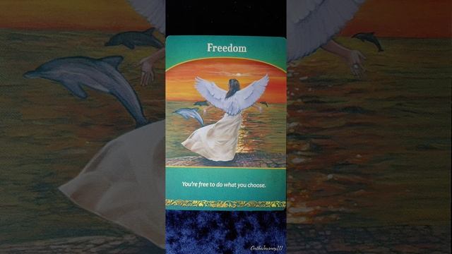 Freedom?️Life Purpose Oracle card meaning смотреть онлайн