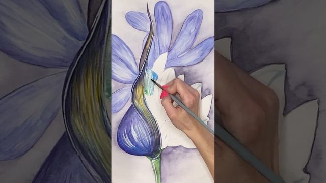 Рисуем Цветочную картину Акварелью. Агапантус. Рисуем вместе. Цветочная Иллюстрация. Синие цветы? смотреть онлайн