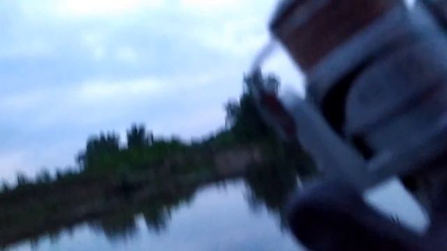 Ловля сома на донку с берега. Какую наживку на сома я применяю на рыбалке смотреть онлайн