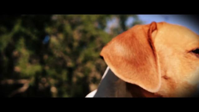 Nikon D5300 Footage: First Footage + CS6 Edit смотреть онлайн