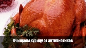 Как приготовить курицу, чтобы избавить ее от антибиотиков и гормонов