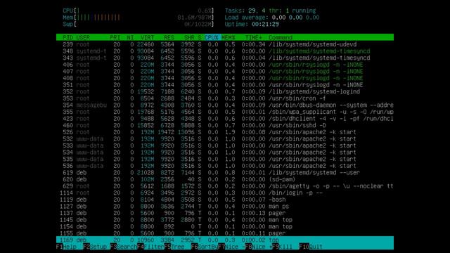 Команды в терминале Linux для управления процессами. смотреть онлайн
