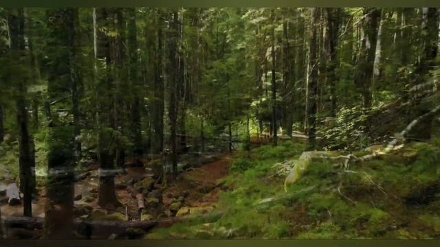 МУЗЫКА ДЛЯ ДУШИ RELAX THE BEST 🎧 смотреть онлайн